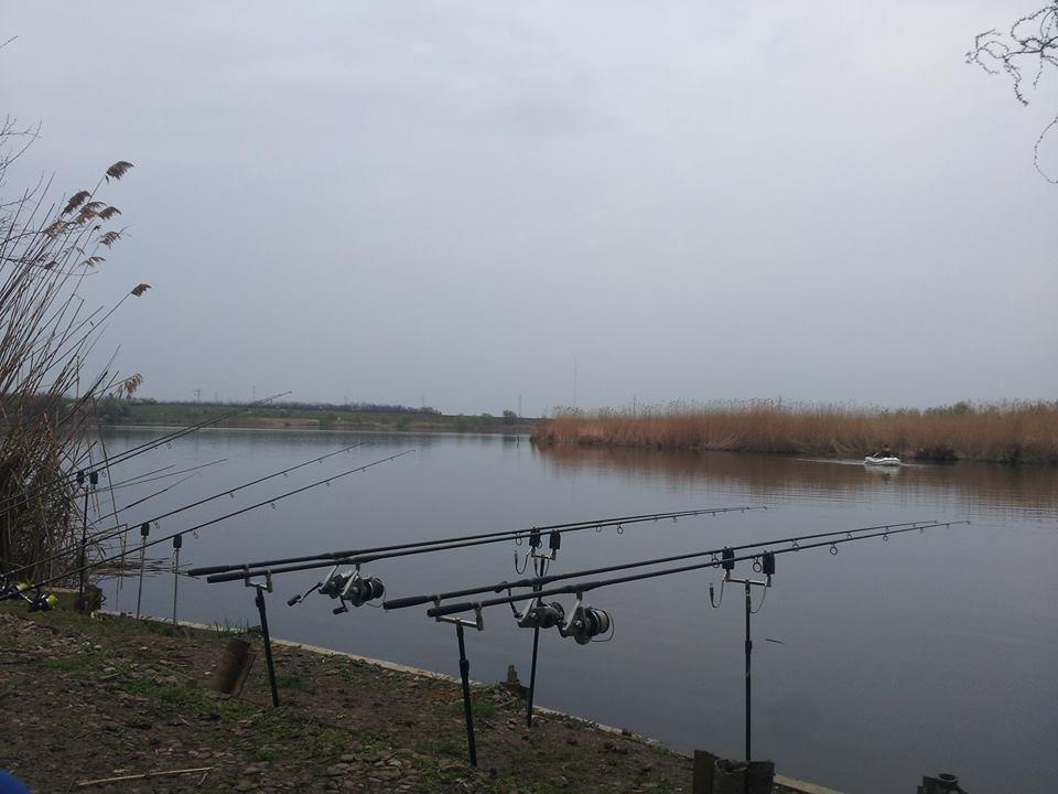 Tancabesti 28 - 29 mar. - 101516926601881206956591354410954n.jpg